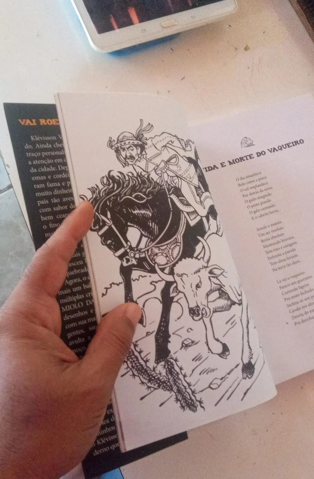 Ilustração (Livro "Miolo da Rapadura").